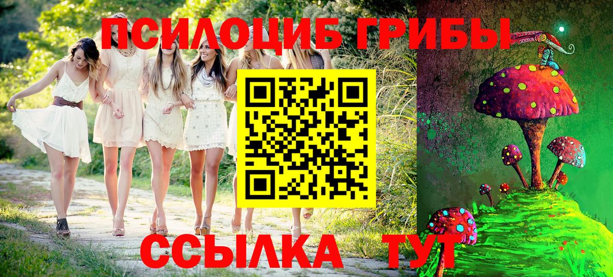 Таганрог  Псилоцибиновые грибы MAGIC MUSHROOMS  Вход с VPN 